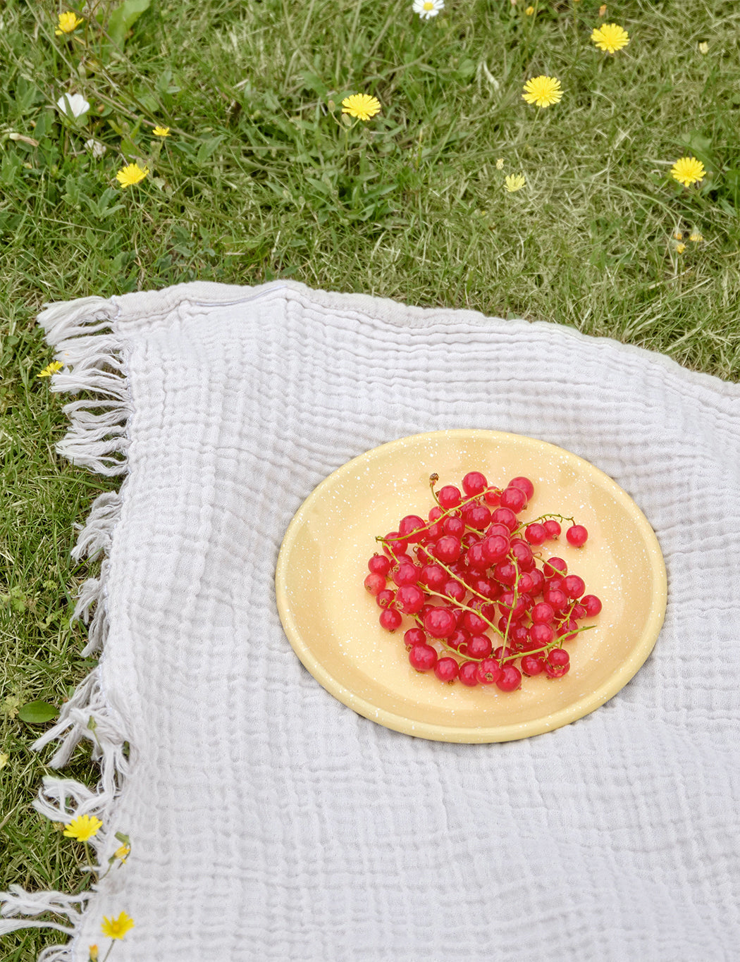 Enamel Round Dish