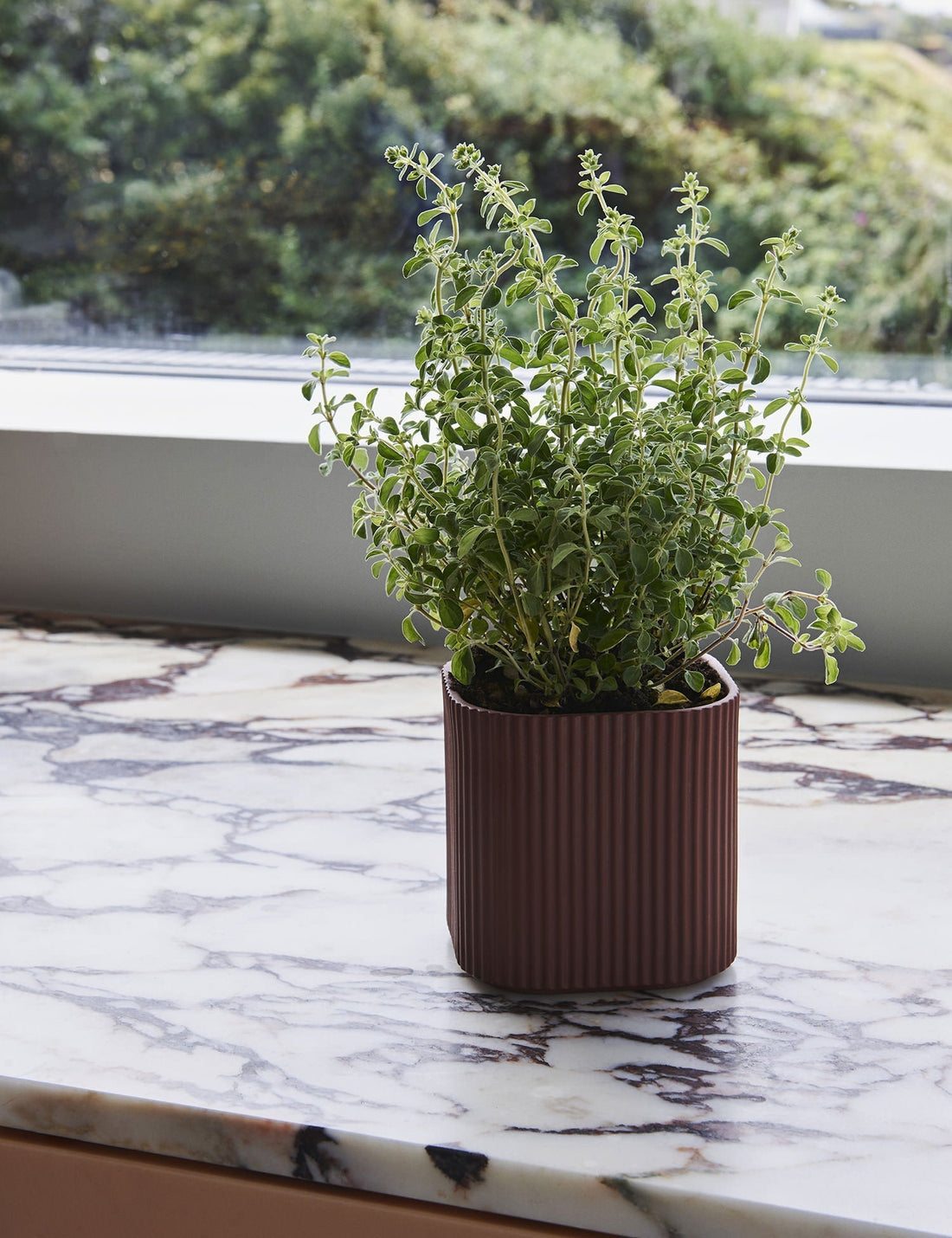 Facade Herb Pot