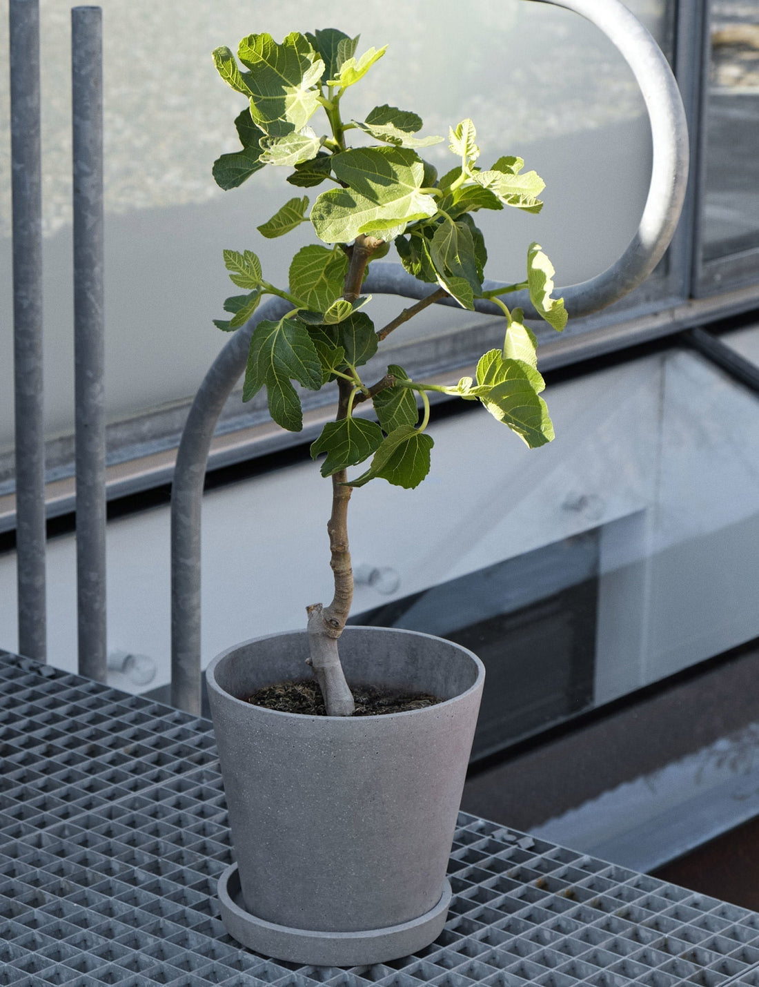 Flowerpot with Saucer